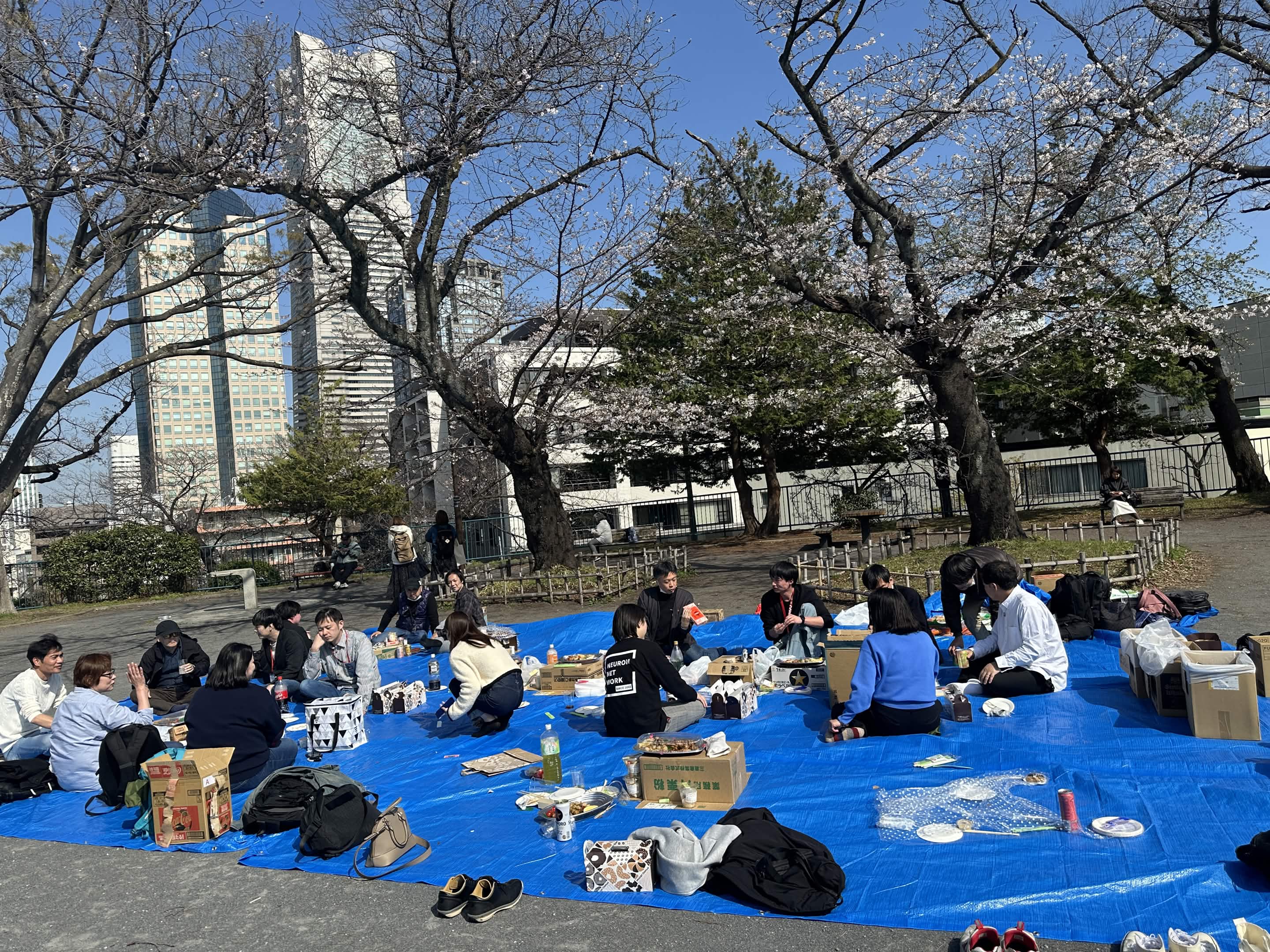 【社内イベント】今月の帰社日は「お花見」を楽しんできました！
